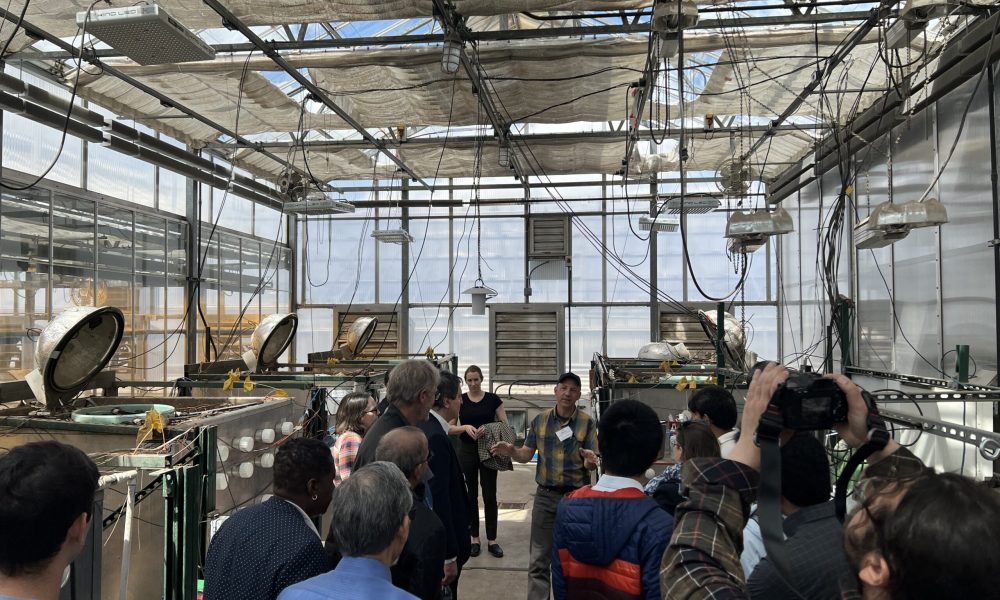 AI-CLIMATE Greenhouse Tour